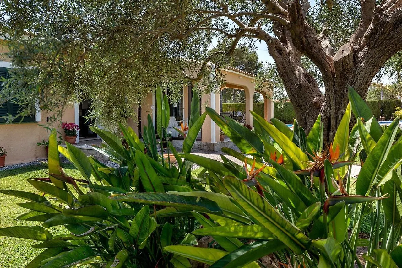 Villa Iris - Alcudia Alcudia (Mallorca)